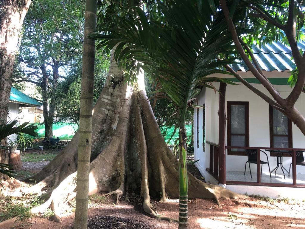 Tropical Paradise Leelawadee Resort 象岛 外观 照片
